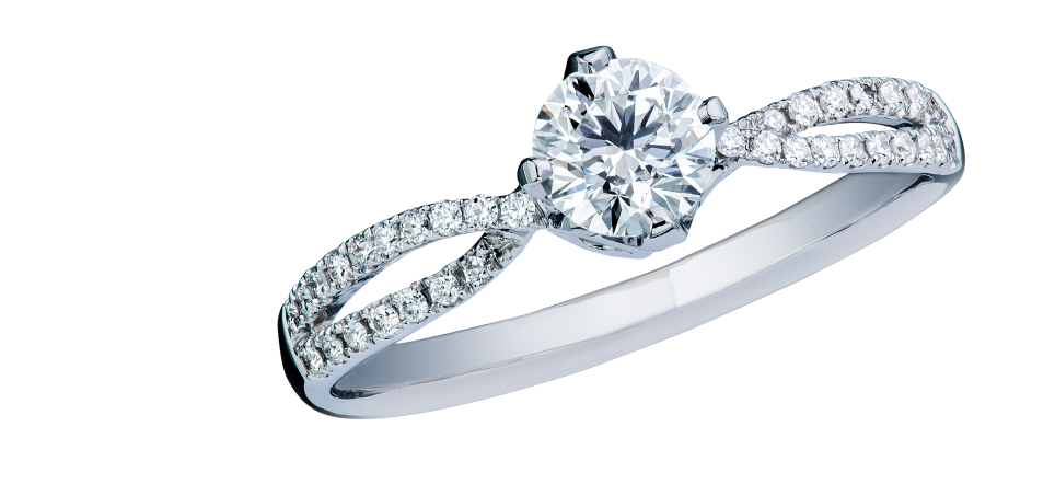 Weddings & Engagements